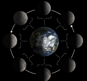 phases of the moon