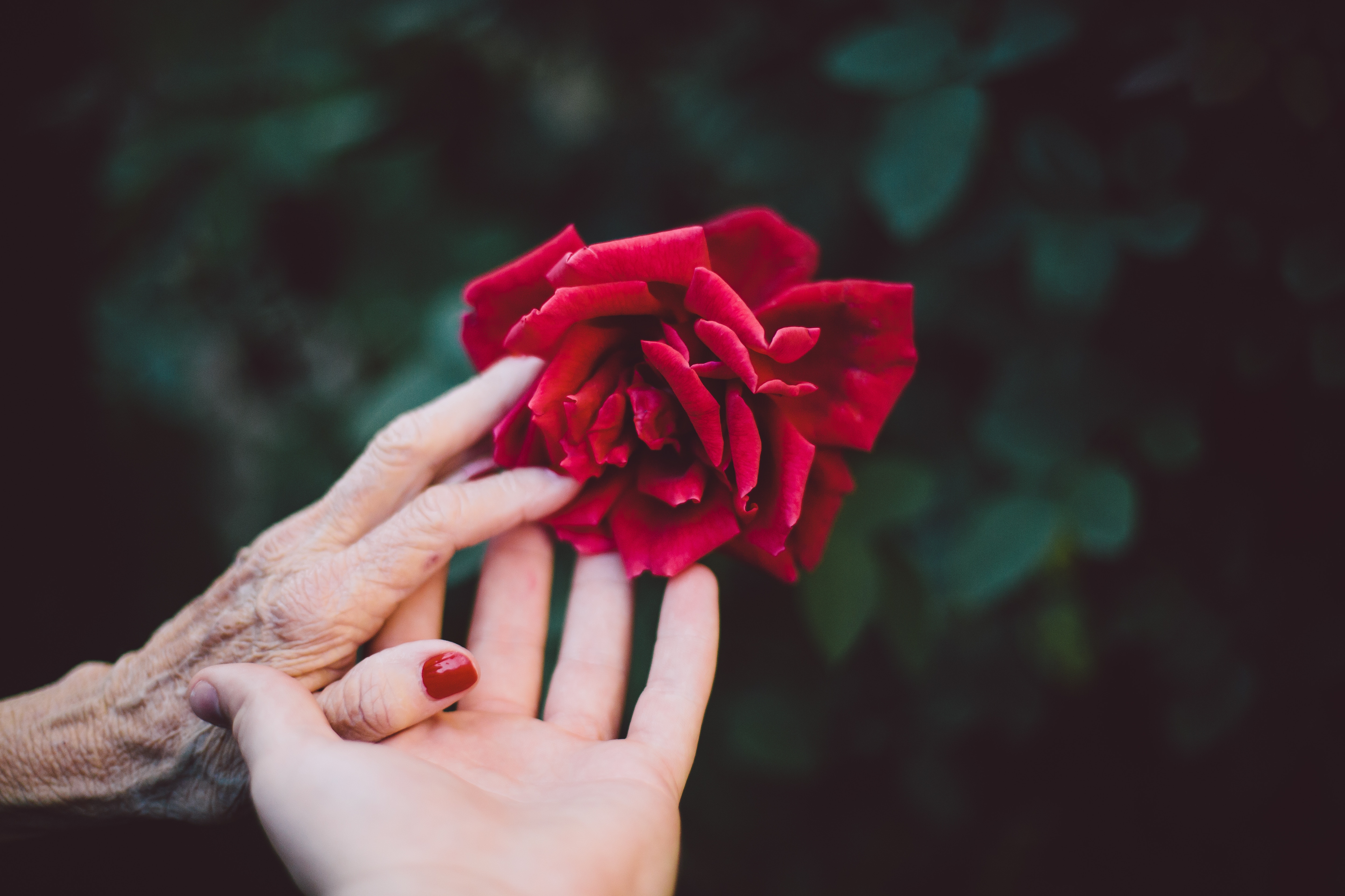 The Habit of Mother By Law jake-thacker-113197-unsplash